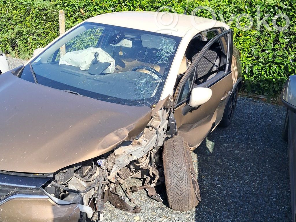 Captur Captur  255405718R