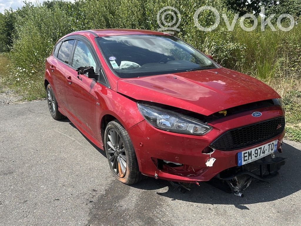 Focus Focus  1769994