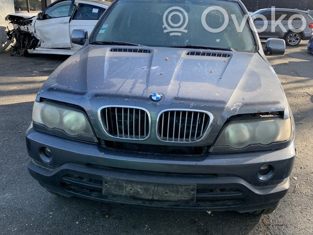 X5 E53 X5  61316962507