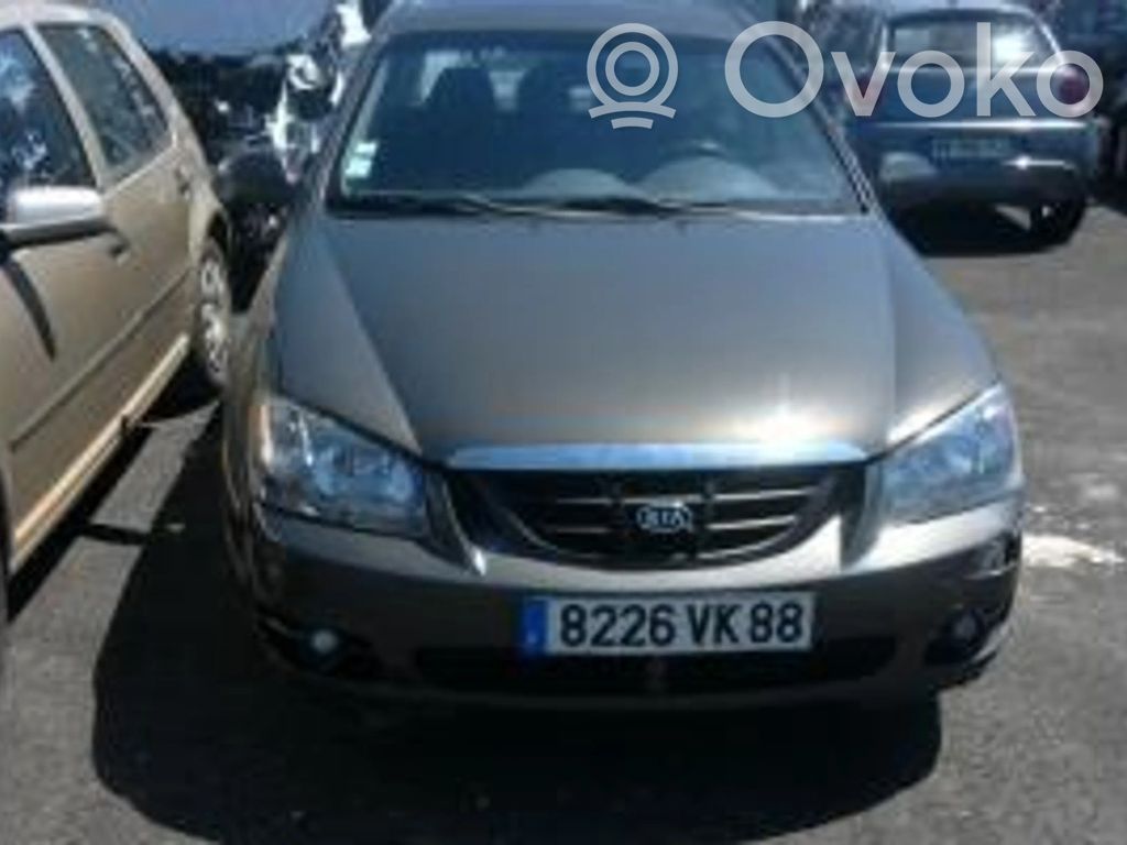 Cerato Cerato