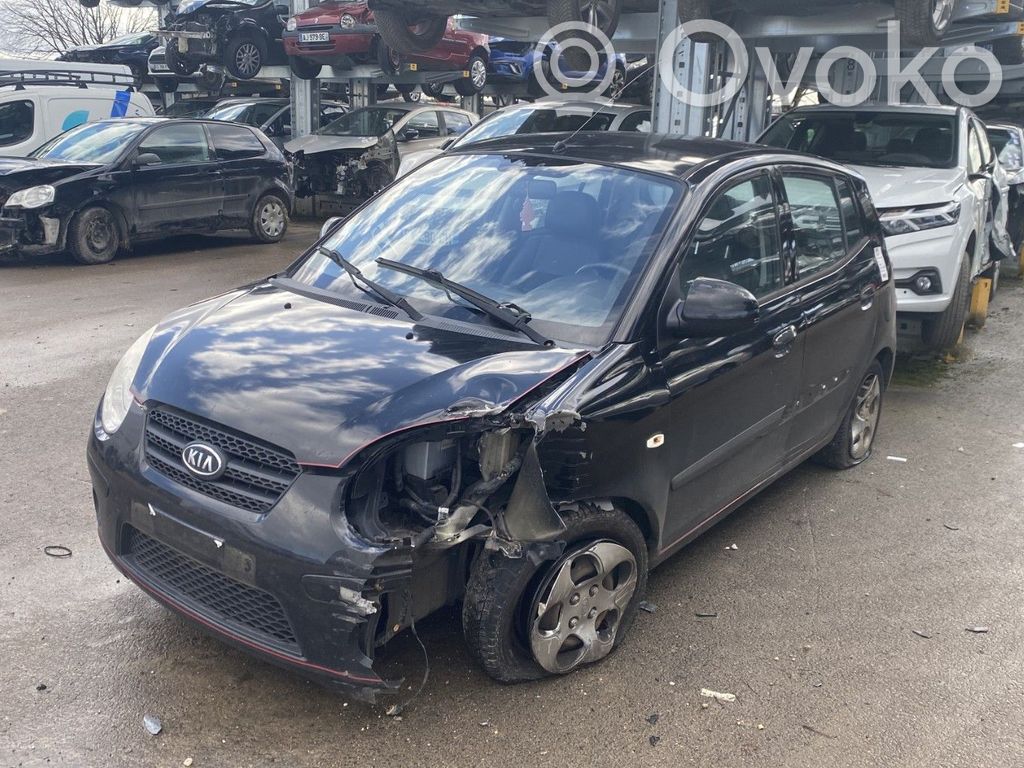 Picanto Picanto  7150307C13