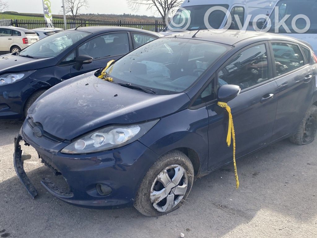 Fiesta Fiesta  2019944