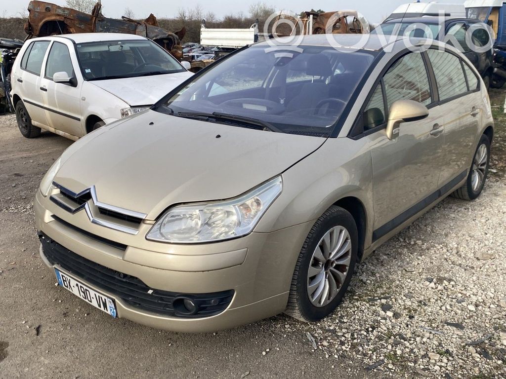 C4 I C4 Picasso, Grand Picasso, Aircross, Cactus  4541E4