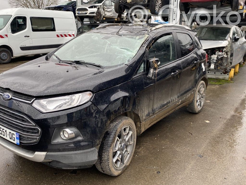 Ecosport Ecosport  2017505