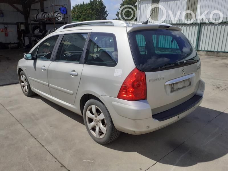 307 307  8220TW
