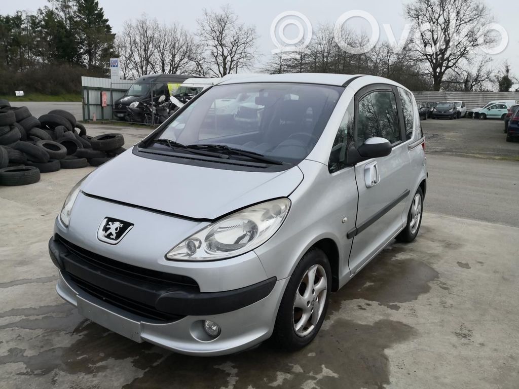 1007 1007  4162EV