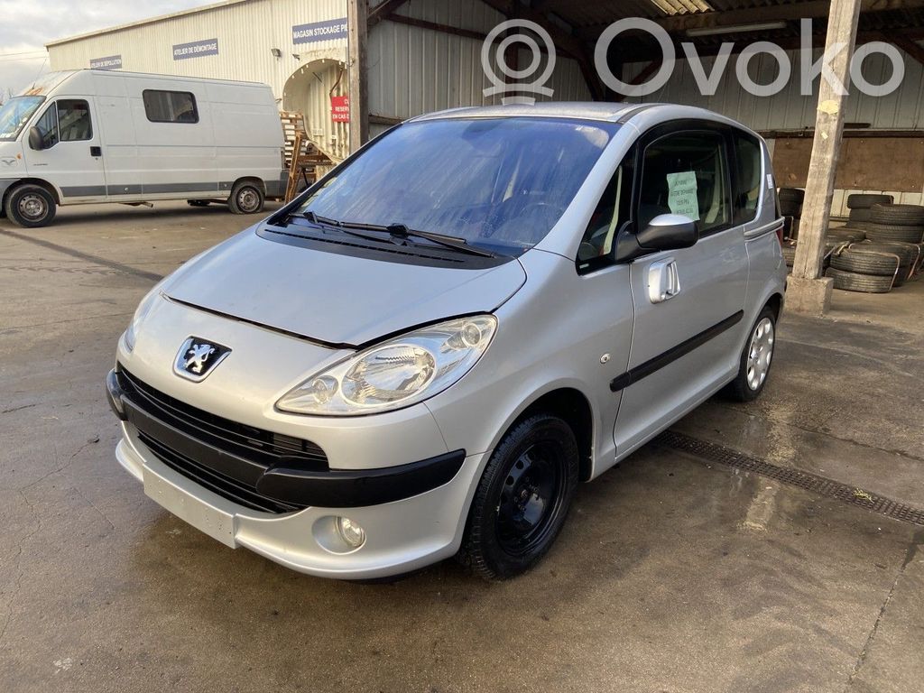 1007 1007  4162EV
