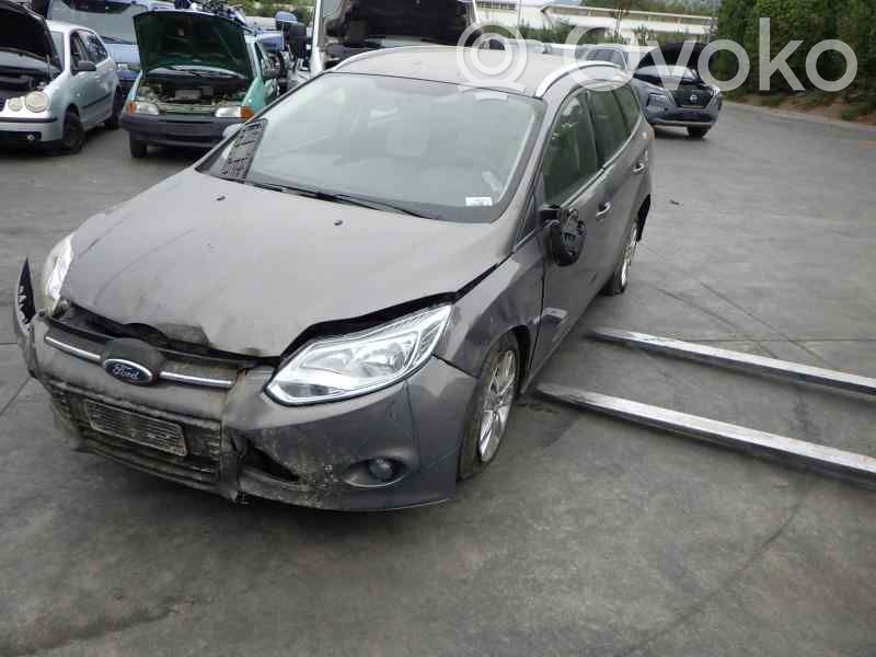 Focus Focus  AM513600CE