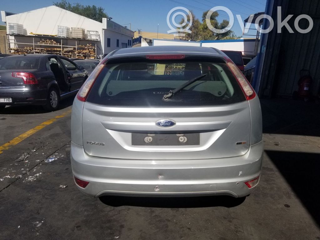 Focus Focus  03786339324