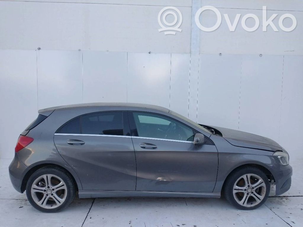 A W176 A-class  A2469001206