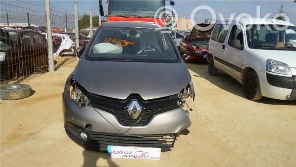 Captur Captur  255675887R