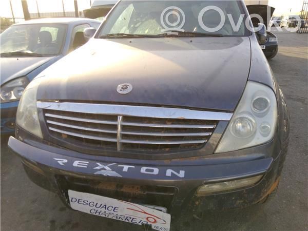 Rexton Rexton  E13010083