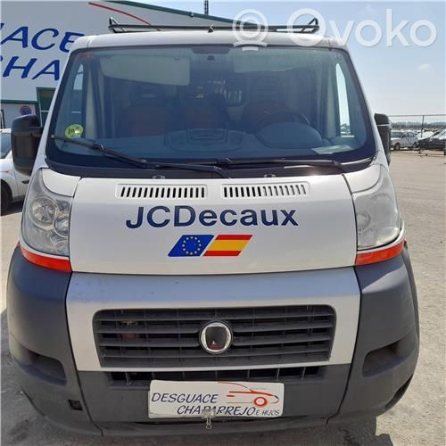 Ducato Ducato  265231617