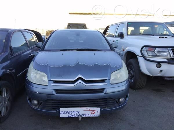 C4 I C4 Picasso, Grand Picasso, Aircross, Cactus  D1561B
