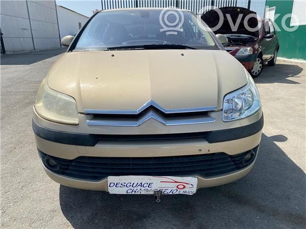 C4 I C4 Picasso, Grand Picasso, Aircross, Cactus  330542