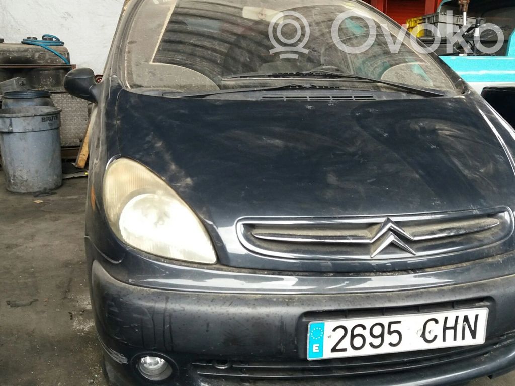 Xsara Xsara, Xsara Picasso  1938J6