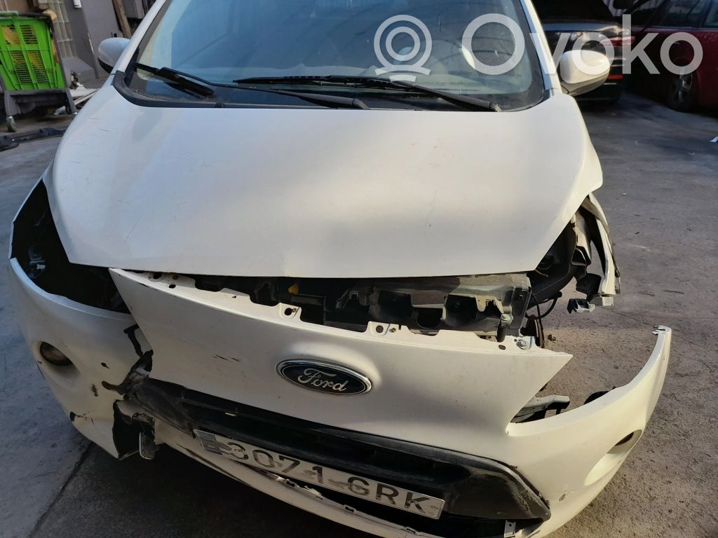 Ka Ka  50710291