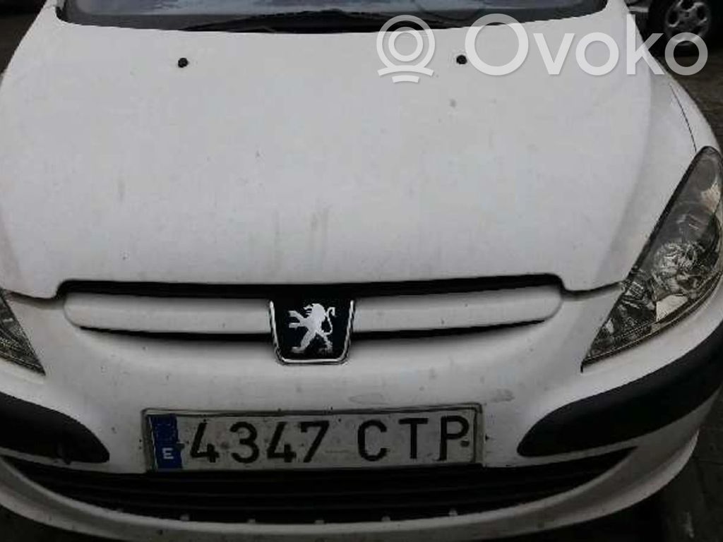 307 307  5WS40145AT