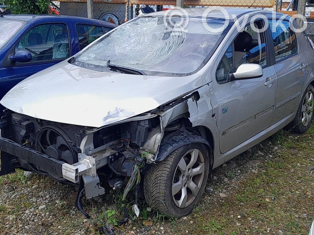 307 307  3272LT