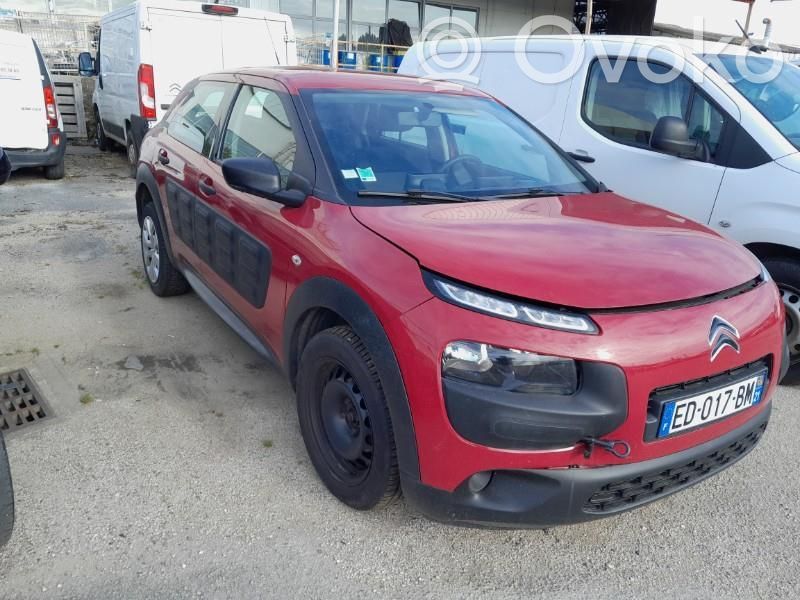 C4 Cactus C4 Picasso, Grand Picasso, Aircross, Cactus  1617596480