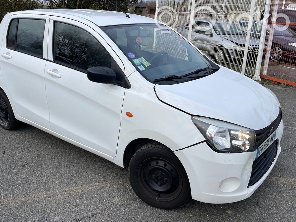 Celerio Celerio  3710184M00