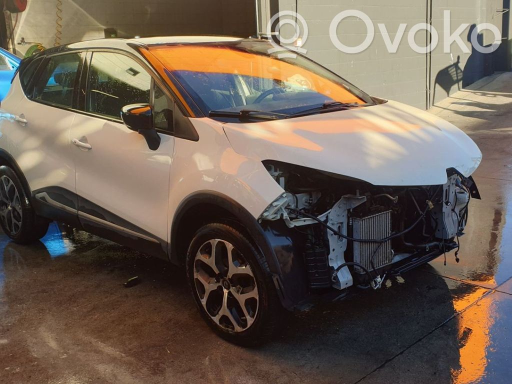 Captur Captur  253A44101R