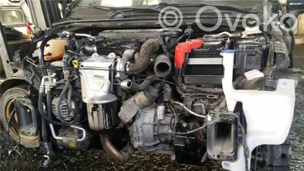 Fiesta Fiesta  8A6T14529