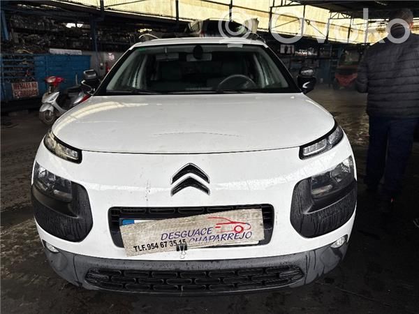 C4 Cactus C4 Picasso, Grand Picasso, Aircross, Cactus