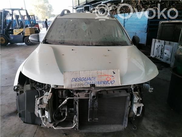Duster II Duster  484009380R