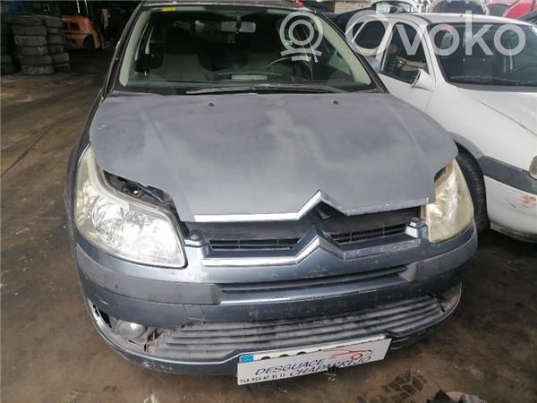 C4 I C4 Picasso, Grand Picasso, Aircross, Cactus