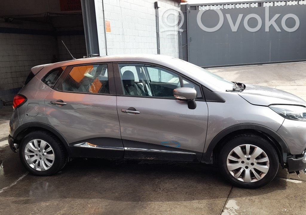 Captur Captur  254216615R