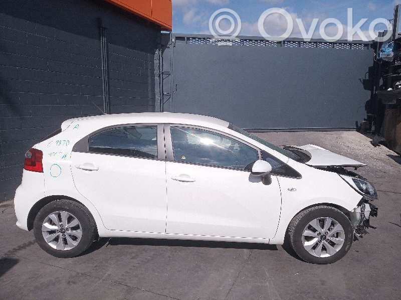 Rio Rio  3730003355