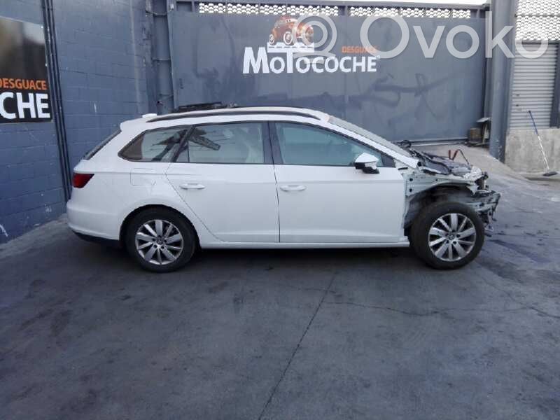 Leon (5F) Leon  6211806