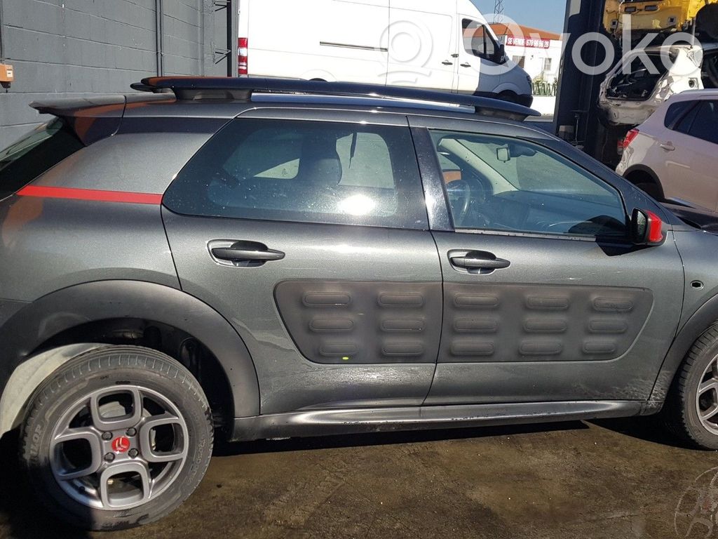 C4 Grand Picasso C4 Picasso, Grand Picasso, Aircross, Cactus  9687161080