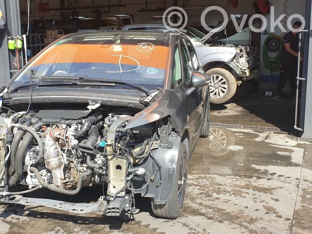 C4 Cactus C4 Picasso, Grand Picasso, Aircross, Cactus  9810310280
