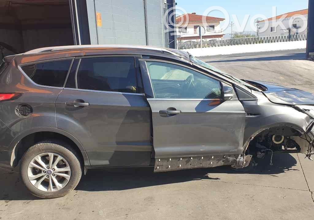 Kuga II Kuga  1850432