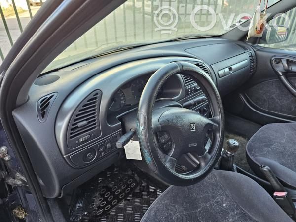 Xsara Xsara, Xsara Picasso