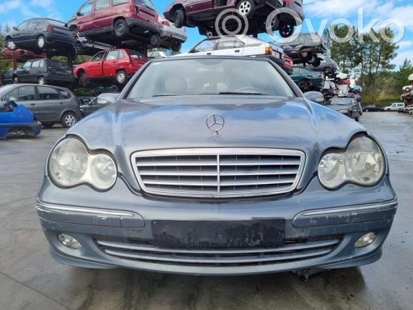 C W203 C-class, AMG (W202, W203, W204, W205, W206)