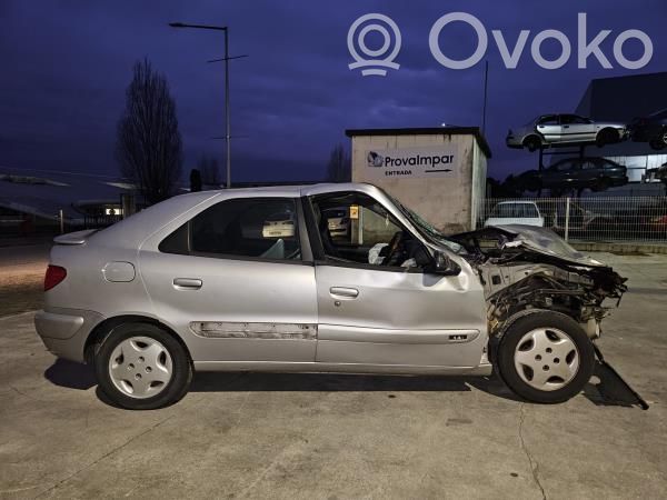 Xsara Xsara, Xsara Picasso