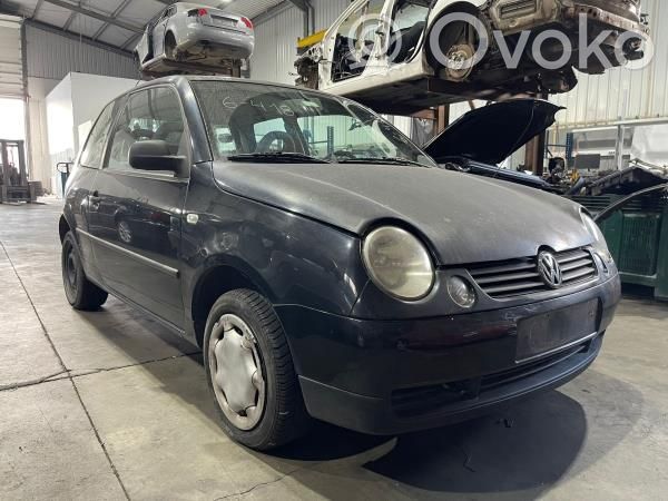 Lupo Lupo
