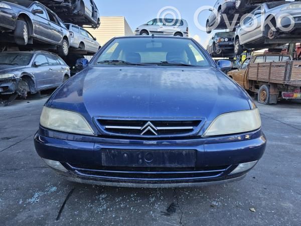 Xsara Xsara, Xsara Picasso