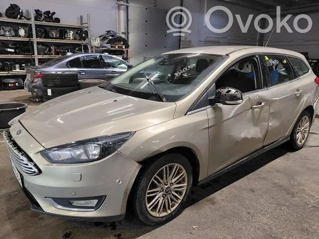 Focus Focus  1910976
