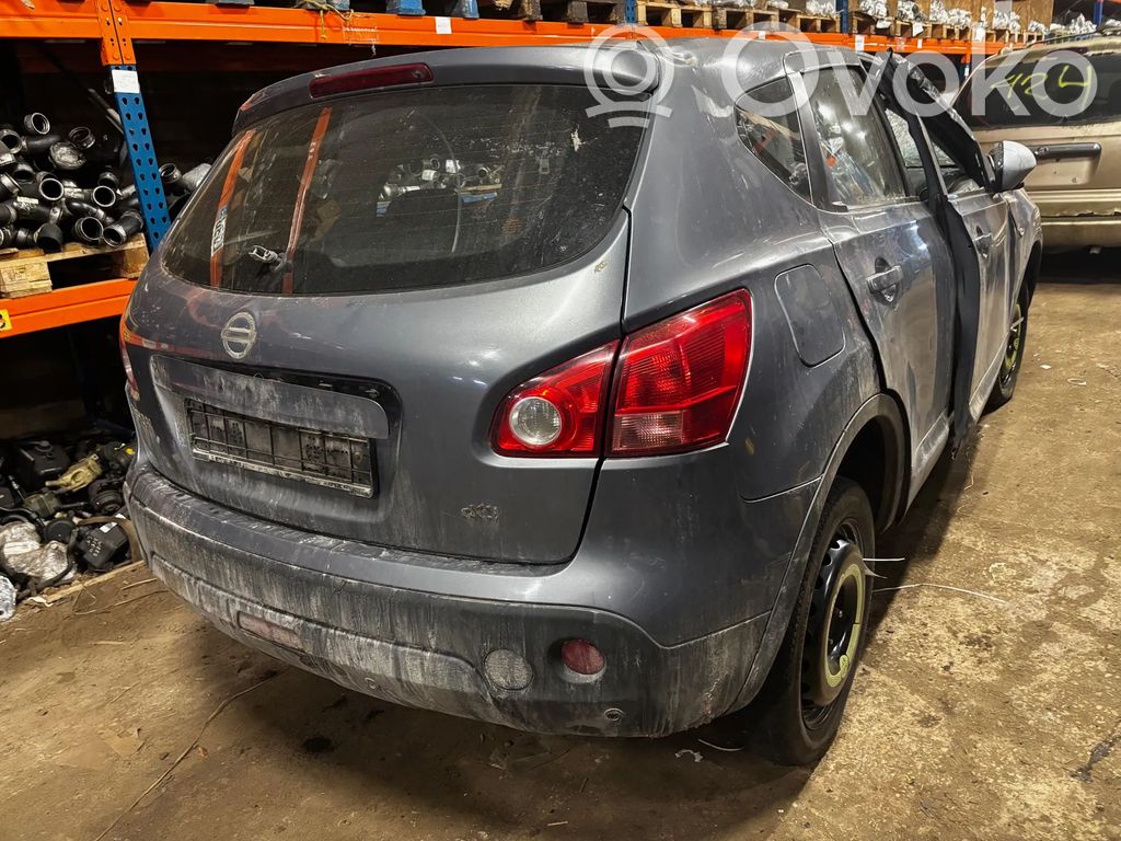 Qashqai Qashqai, Qashqai+2  E4302JD01A