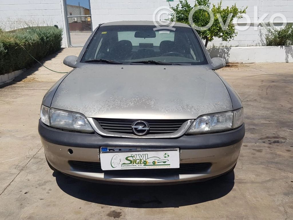 Vectra B Vectra