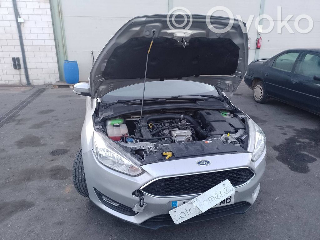 Focus Focus  2176249