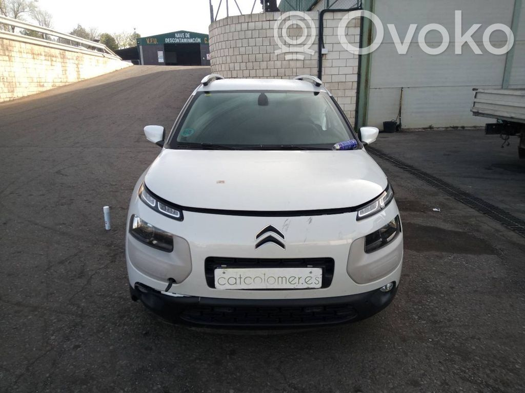 C4 Cactus C4 Picasso, Grand Picasso, Aircross, Cactus  9819474880
