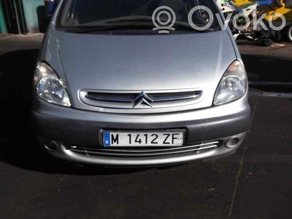 Xsara Xsara, Xsara Picasso