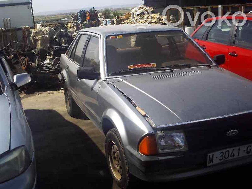 Escort Escort