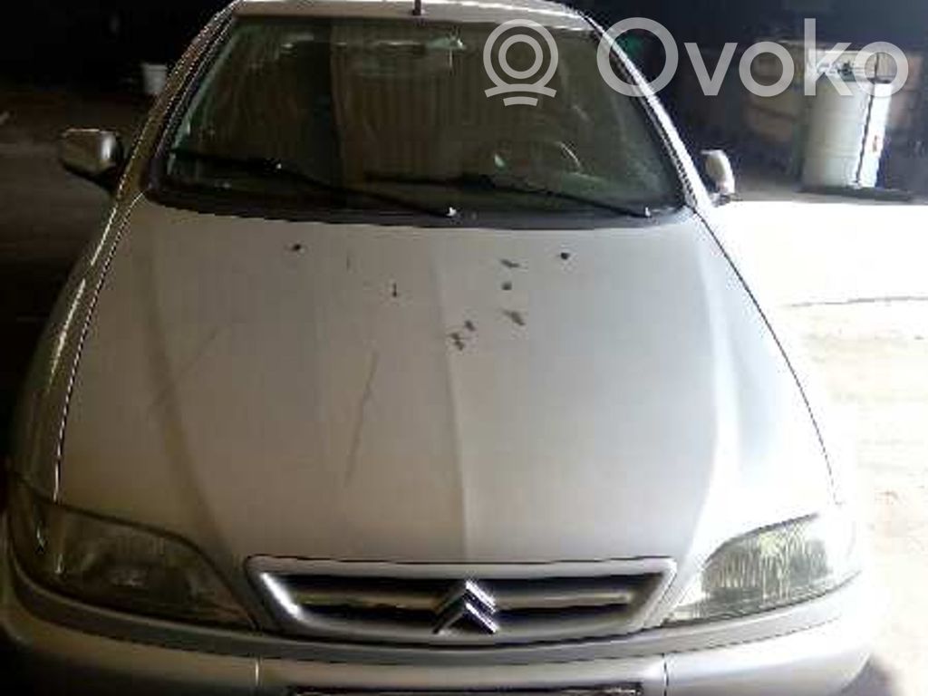 Xsara Xsara, Xsara Picasso