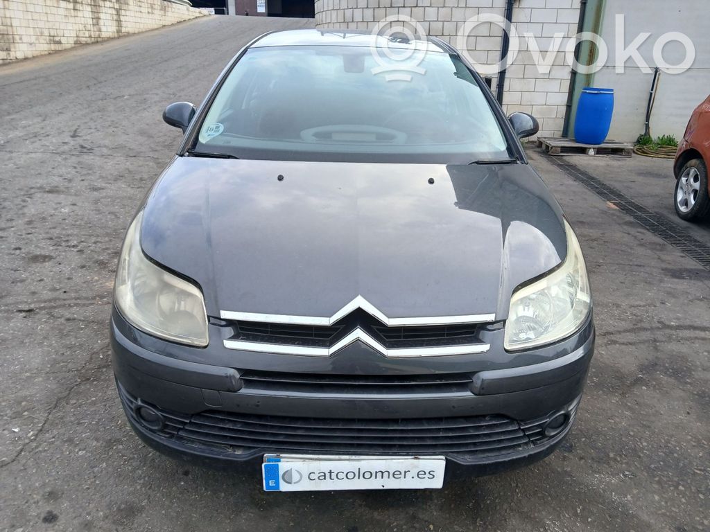 C4 Grand Picasso C4 Picasso, Grand Picasso, Aircross, Cactus  9224C6